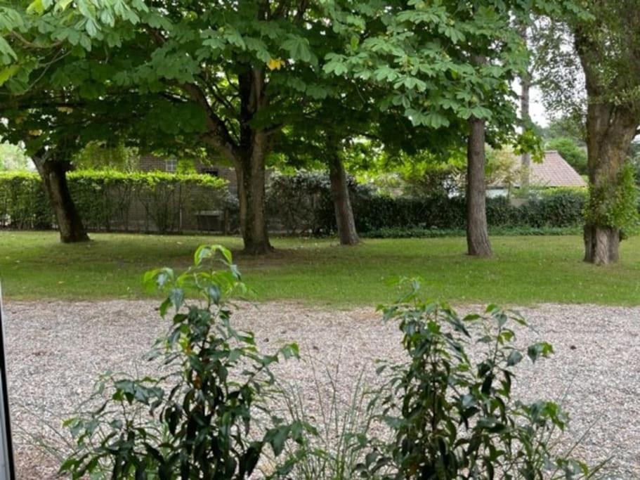 Maison Touquet Pour 4 Personnes Le Touquet Exteriör bild